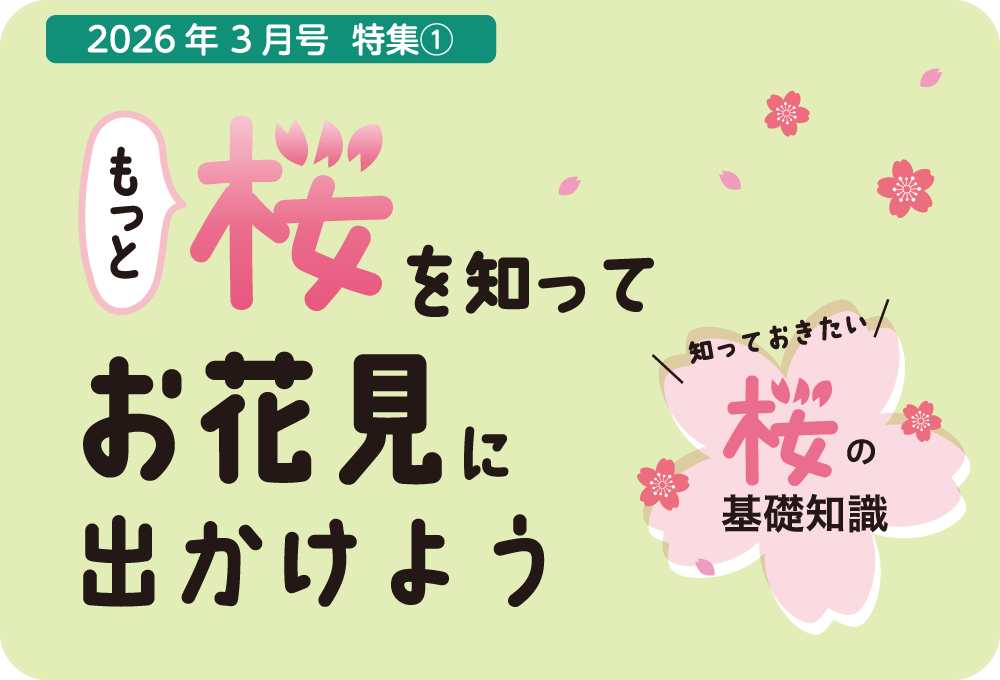 桜の基礎知識