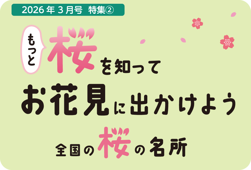 桜の名所&お花見の歴史と楽しみ方