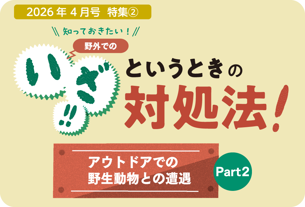 クマとマダ二被害の予防と対処方法をご紹介しています。