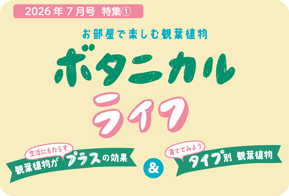 観葉植物の効果と選び方をご紹介しています。