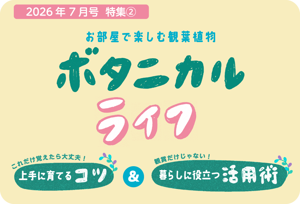上手に育てるコツと暮らしに役立つ活用術をご紹介しています。